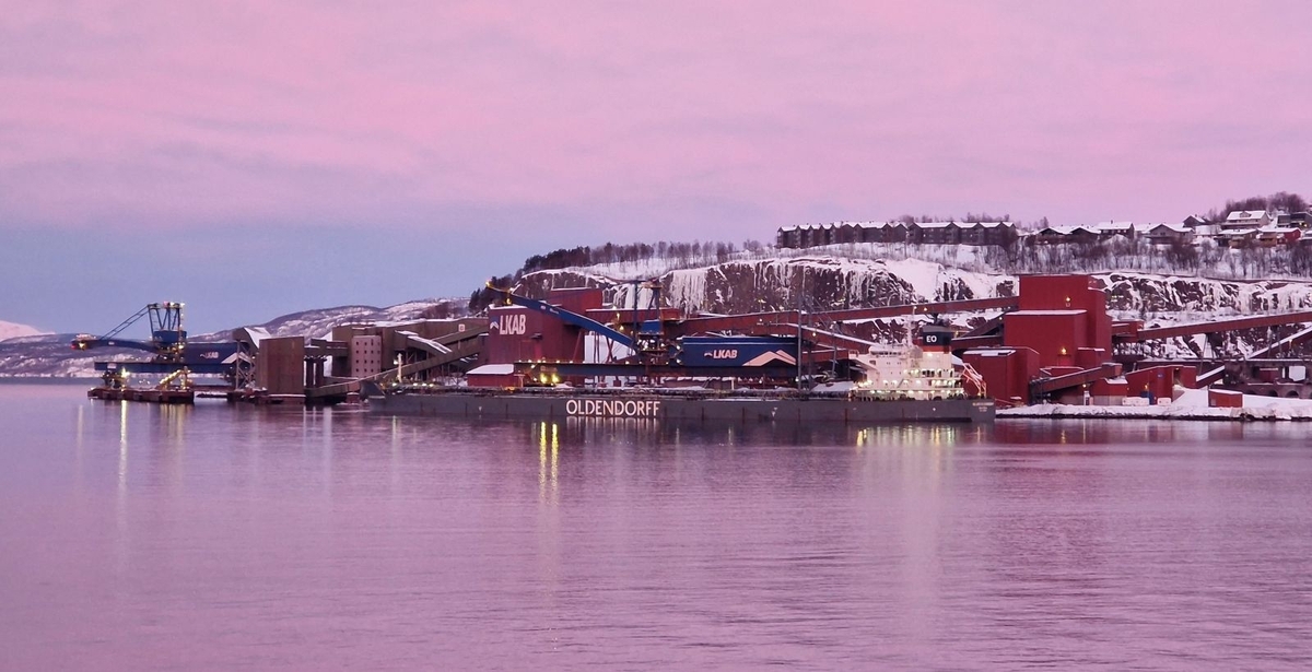 Narvik Dawn - Pat Hamer